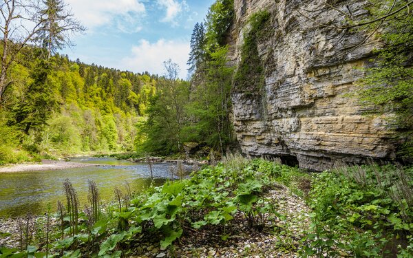 Felsengalerie in der Wutachschlucht, Foto: Hochschwarzwald Tourismus GmbH