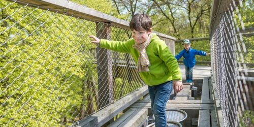 Verschiedene Stationen zum Balancieren und Ausprobieren bieten Abwechslung auf dem Holzpfad. Erlebnis Akademie AG / Naturerbe Zentrum Rügen