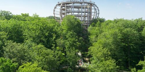 Auf 40 Meter Höhe den Rundblick auf dem Aussichtsturm "Adlerhorst" genießen. Erlebnis Akademie AG / Naturerbe Zentrum Rügen