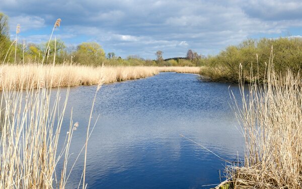 Naturschutzgebiet Brenner Moor, Foto: Hans Robert Wolters, CC BY-SA 3.0, https://commons.wikimedia.org