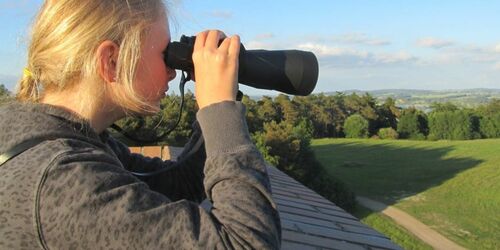 Blick vom Ehrenmal, Foto: Jana Koch