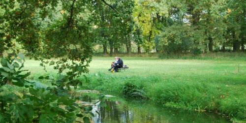 Alte Baumriesen prägen den Burgpark Lenzen, Foto: Elviera Jura, Lizenz: Tourismusverband Prignitz e.V.