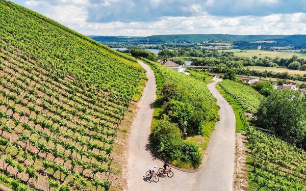 Weinberge im Abt Degen Weintal, Foto: Ralf Schanze