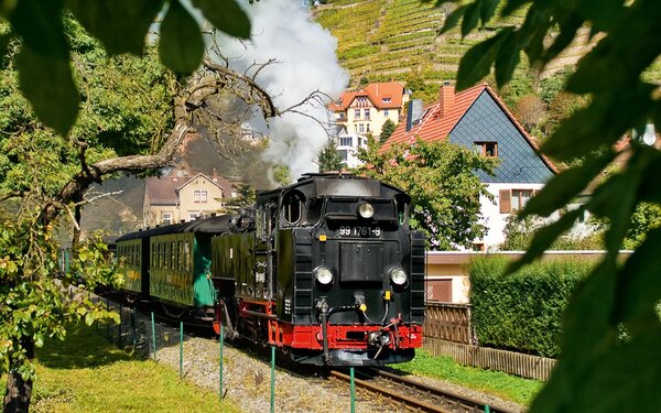 Lößnitzgrundbahn  SDG/Andreas Schmidt