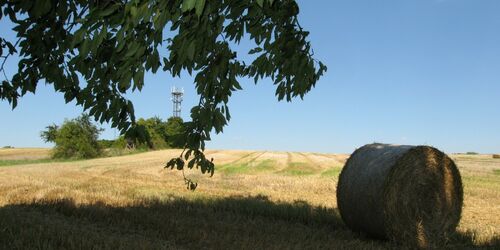 Aussichtsturm auf dem Gipsberg, Foto: Tourismusverband Fläming e.V. / C.Wittig