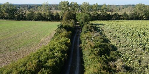 Blick vom Aussichtsturm auf dem Gipsberg, Foto: Fanny Raab, Lizenz: Tourismusverband Fläming e.V.