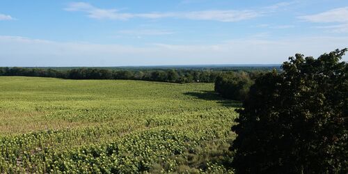 Blick vom Aussichtsturm auf dem Gipsberg, Foto: Fanny Raab, Lizenz: Tourismusverband Fläming e.V.