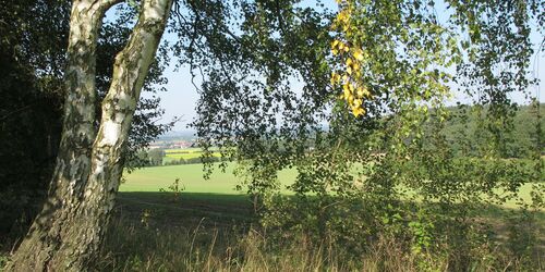 Auf's Dach von Brandenburg – von Ortrand zum Kutschenberg