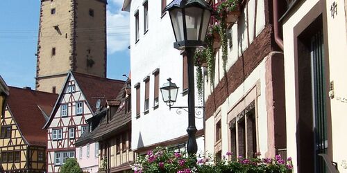 Natur und Romantik – von Lohr nach Gemünden