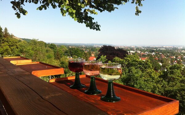 Panoramablick von der Besenschänke Haselbusch  H. Schröder