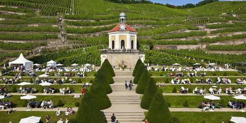 Belvedere im Erlebnisweingut  Oliver Killig