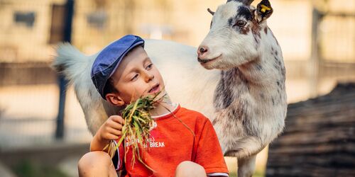 Zoo Hoyerswerda, Foto: Zoo Hoyerswerda, Lizenz: Zoo Hoyerswerda