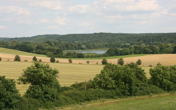 Blick vom Kleinen Rummelsberg  terra press Berlin