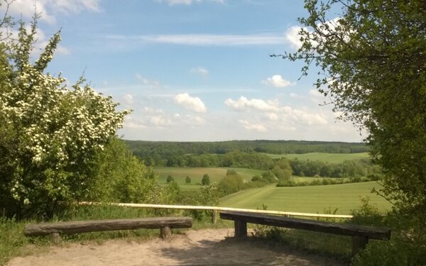 Blick vom Kleinen Rummelsberg, Foto: TMB-Fotoarchiv/Heidi Walter