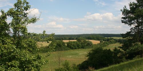 Am Kleinen Rummelsberg  terra press Berlin