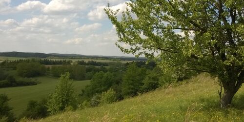 Vom Kleinen Rummelsberg, Foto: TMB-Fotoarchiv/Steffen Lehmann