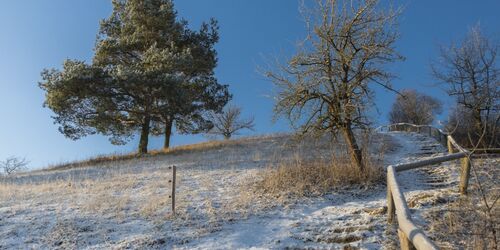 Treppe zum Rummelsberg, Foto: TMB-Fotoarchiv/Steffen Lehmann