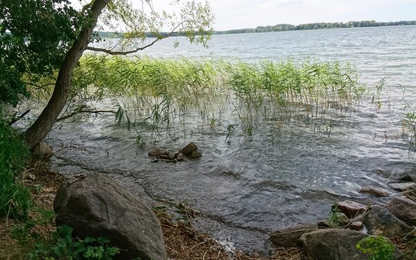 Am Parsteiner See  Wegewart WITO Barnim