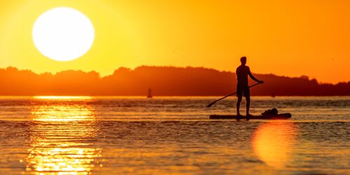 SUP-Surfing auf dem Müggelsee