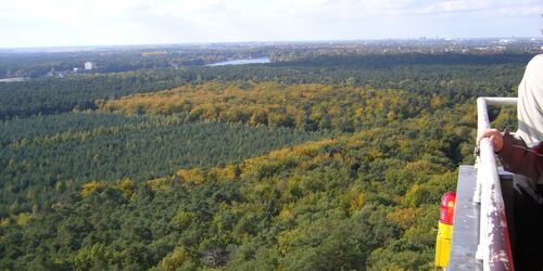 Aussicht vom Müggelturm, Foto: terra press GmbH