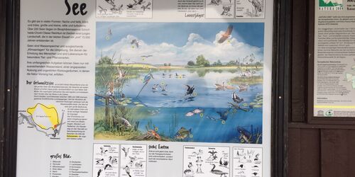 Naturbeobachtungspunkt, Infotafel, , Foto: Amt Joachimsthal (Schorfheide), Lizenz: Amt Joachimsthal (Schorfheide)