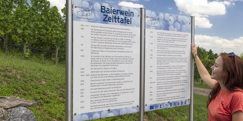 Zeittafel Weinlehrpfad Baierweinmuseum Bach, Foto: Stefan Gruber