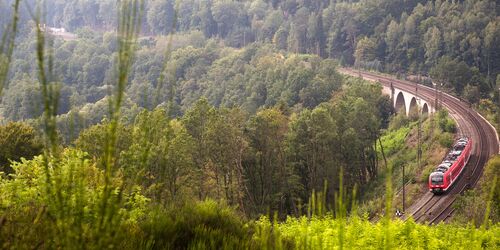 Spazierwanderung ab Jossa im hessischen Spessart