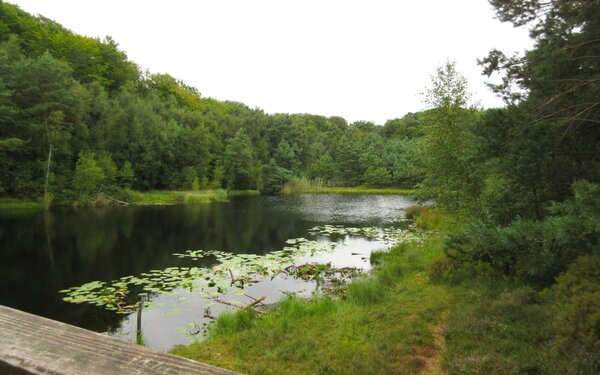 Mümmelkensee Bansin, Foto: Klotz, Lizenz: terra press GmbH