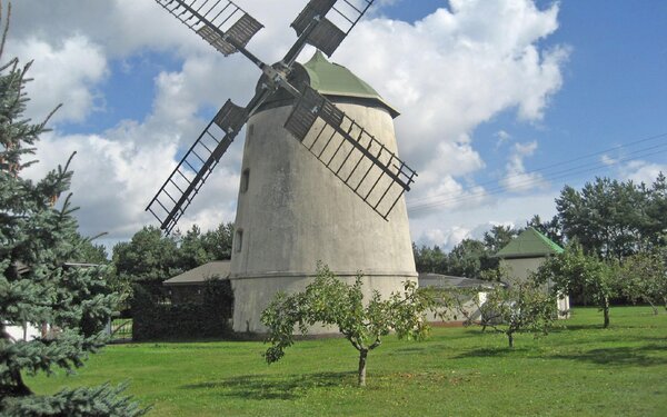 Windmühle Friedemann mit nach einem Sturmschaden gekürzten Flügeln, Foto: Gemeinde Doberschütz