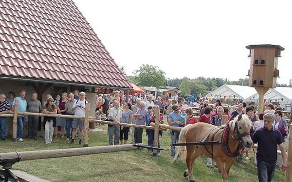 Vorführung der Göpelmühle in Hohenprießnitz, Foto: Verein Mühlenregion Nordsachsen e.V.