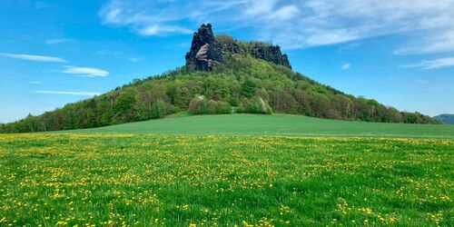 Ins Polenztal und auf den Lilienstein