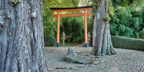 Japanischer Garten, Foto: Florian Trykowski, Thüringer Tourismus GmbH