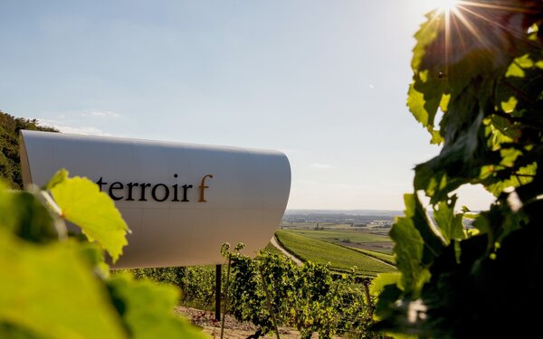 Terroir F Roedelsee, Foto: Richard Schober