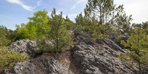 Rothsteiner Felsen, Foto: LKEE/Andreas Franke, Lizenz: LKEE/Andreas Franke