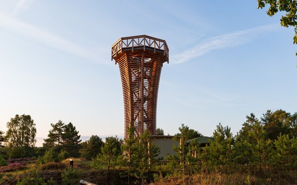 Heidelandschaft mit Heideturm  TMB, Steffen Lehmann