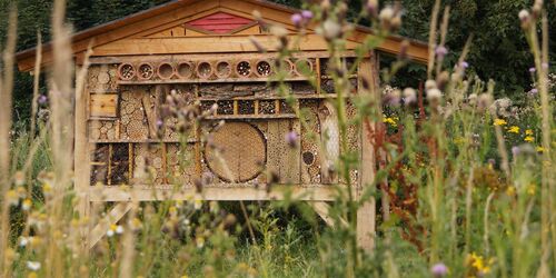 Naturerlebnispfad_Insektenhotel , Foto: Stiftung Wasserkunst Elbinsel Kaltehofe, Lizenz: -