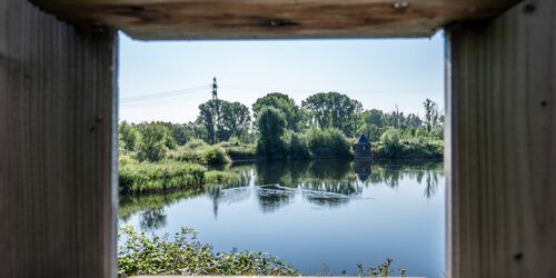 Blick von der Vogelbeobachtungsplattform, Foto: Krafft Angerer