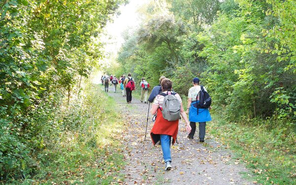 Wandern in der Dübener Heide, Foto: Gemeinde Muldestausee