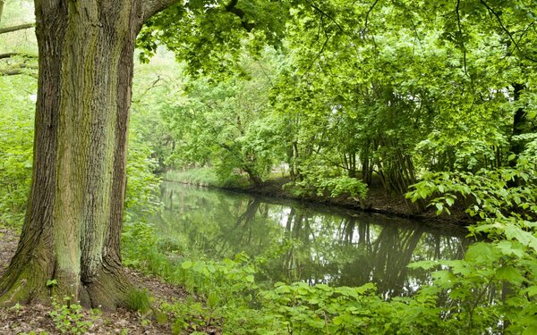 Nottekanal in Richtung Mittenwalde,  Foto: Tourismusverband Dahme-Seen e.V.