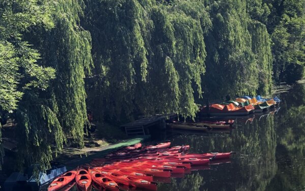 Königsboot - Bootsvermietung  in Königs Wusterhausen, Foto: Antje Wenzel, Lizenz: Antje Wenzel