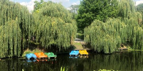 Königsboot - Bootsverleih am Nottekanal in Königs Wusterhausen , Foto: Petra Förster, Lizenz: Tourismusverband Dahme-Seenland e.V.