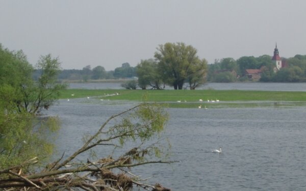 An der Oder, Foto: Jan Hoffmann