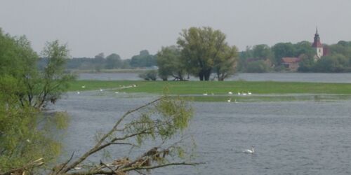 Naturschauspiele an der Oder