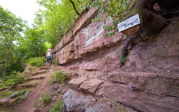 Gambach - Geologischer Wanderweg, Foto: Stadt Karlstadt