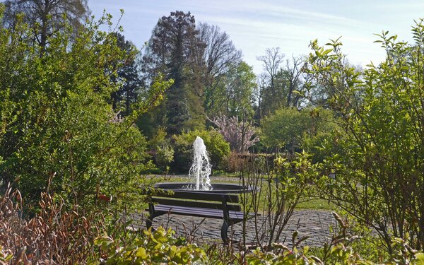 Springbrunnen im Schlossgarten, Foto: Spessart Tourismus und Marketing GmbH