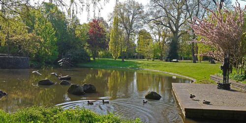 Teich im Schlossgarten, Foto: Spessart Tourismus und Marketing GmbH