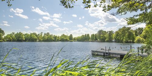 Den Main entlang zum Großkrotzenburger See