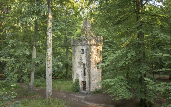 Klosterruine St. Wolfgang, Foto: Spessart Tourismus und Marketing GmbH