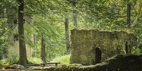 Klosterruine St. Wolfgang, Foto: Spessart Tourismus und Marketing GmbH