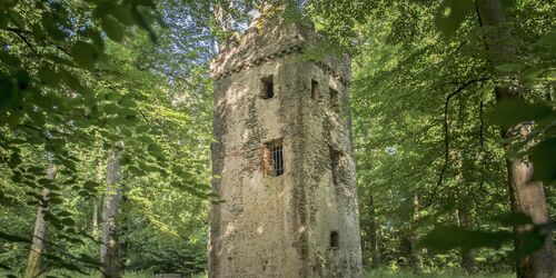 Klosterruine St. Wolfgang, Foto: Spessart Tourismus und Marketing GmbH